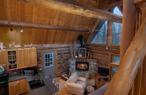 Covert Casa | Authentic Log Cabin Gated Community w/ Access Lake Michigan & South Haven