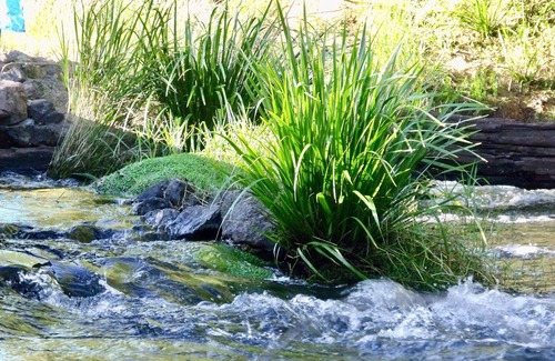 Toms Creek Cabaña | Retiro del río Avalon