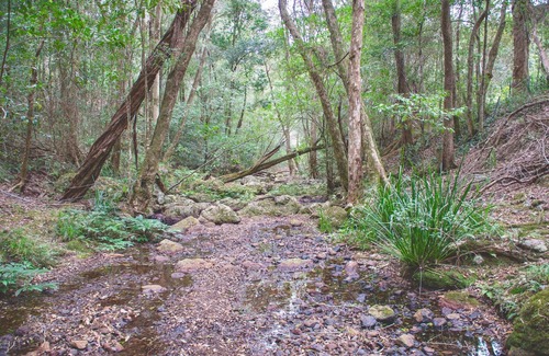 Toms Creek Cabaña | Retiro del río Avalon