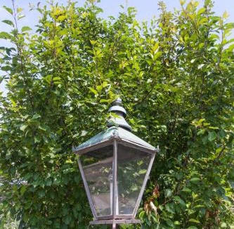 Stratford Cama Y Desayuno | Avery House B&B