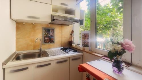 Aviatiei Apartamento | Aviatiei Vintage Charm - Close to Promenada Mall