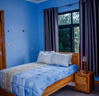 Marangu Cama Y Desayuno | Avocado Kilimanjaro Homes