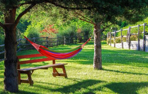 Loazzolo Casa | Awesome Home In Loazzolo With Wifi