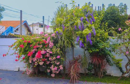 Negombo Hotel | Ayana Beach Garden