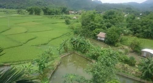 Chieng Chau Hotel | Bình Minh hotel