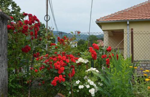 Virpazar Apartamento | B&B Ana