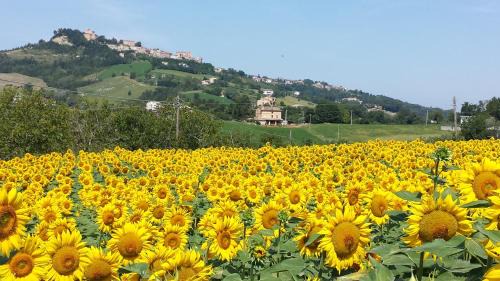 Santa Vittoria in Matenano Cama Y Desayuno | B&B Antica Fonte del Latte