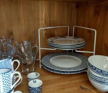 Noord-Scharwoude Cama Y Desayuno | B&B De Blauwe Tulp