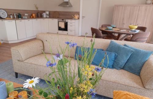 Noordbroek Cama Y Desayuno | B&B De Korenbloem