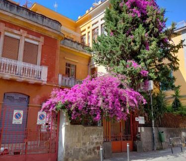 Castellammare di Stabia Cama Y Desayuno | B&B Il Vialetto