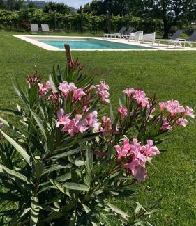 Domegliara Cama Y Desayuno | B&B CAMPAGNON VALPOLICELLA