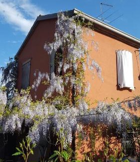 Granarola Cama Y Desayuno | B&B La Rosa Antica