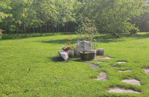 Motta di Livenza Cama Y Desayuno | B&B Villa Elisa