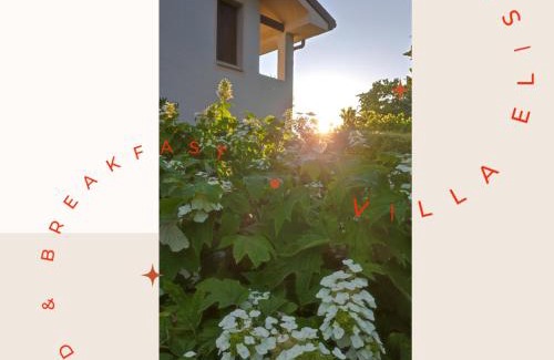 Motta di Livenza Cama Y Desayuno | B&B Villa Elisa