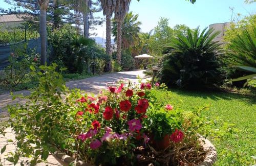 Palermo Cama Y Desayuno | B & B Villa Flora