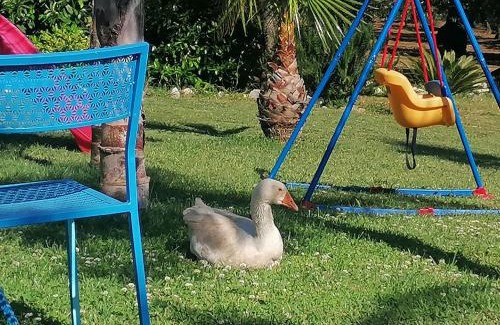 Campagna Cama Y Desayuno | B&B Villa Molinari Restaurant e Baby Park