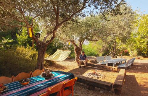 Misgav Otro | Back to Nature Camping & Huts