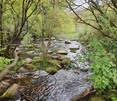 Dartmeet Apartamento | Badgers Holt House