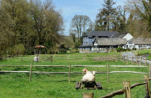 Dartmeet Apartamento | Badgers Holt House