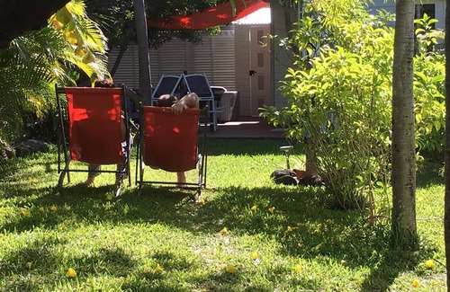 La Saline Les Bains Casa | Baie Rose-Bungalow-Vista a la Piscina-Baño privado-Luna de miel