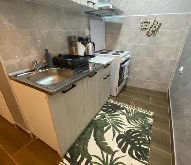 Bajina Basta Apartamento | Baja's Garden Apartman