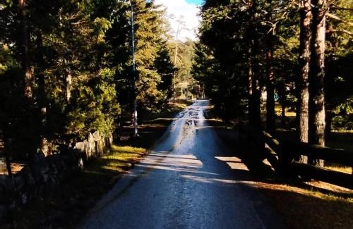 Zlatibor Casa | Bajin chalets