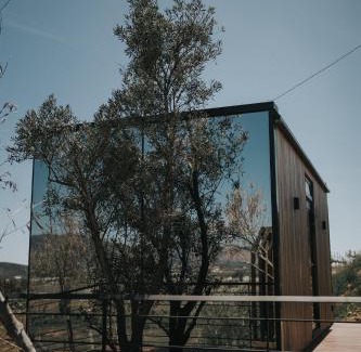Valle de Guadalupe Hotel | Bajo Estrellas Hotel Contemporáneo