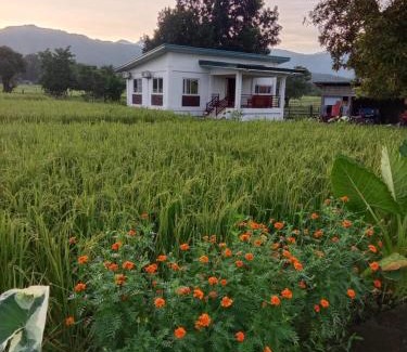 Solsona Villa | Balay Diay Away