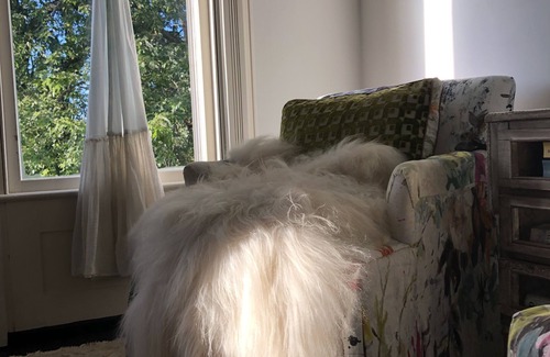 Oxford Casa | Balcom Court Guest House Loft cozy, grand, secluded