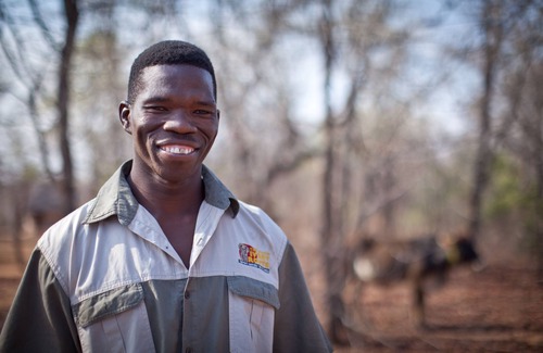 Greater Giyani Alquiler De RV | Baleni Cultural Camp