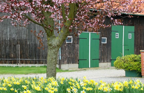 Suessau Apartamento | Baltic Sea for happy fours plus dog