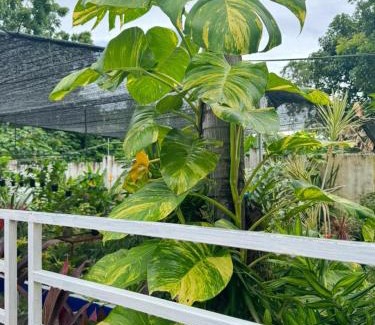 Binalonan Casa | Bamboo Orange Cabana and Studio