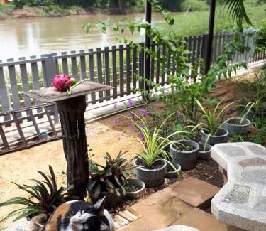 Ayutthaya Casa | Banjearanaihomestay Ayutthaya