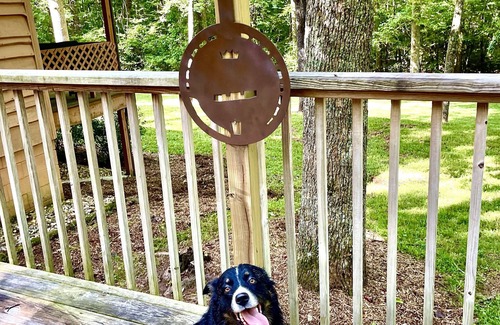 Moravian Falls Cabina | Banjo’s Cabin