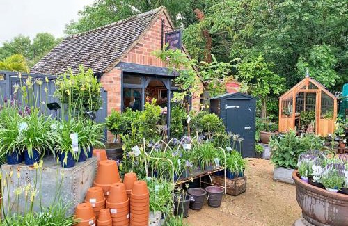 Tackley Casa | Banksiae