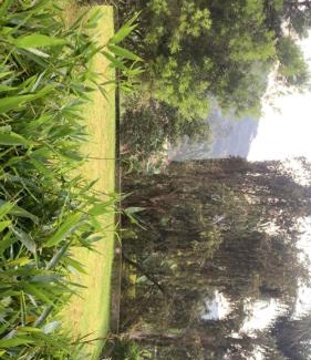 Muhanga Villa | Barasha Residences & Homestay