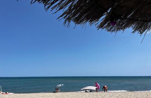 Le Barcares Apartamento | Barcaresa-T3 Hippocampe vue mer plage