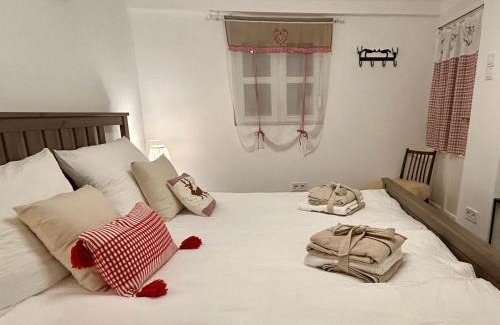 Szalatnak Apartamento | BARIK Chill House Boutique Vendégház