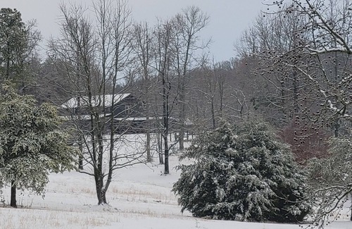 Tennga Casa | Barn at Frog Hollow, 2 bedroom ground floor unit. Great Mountain Views!