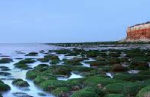 Snettisham Casa | Granero Conversión En Snettisham, norte de Norfolk, Inglaterra