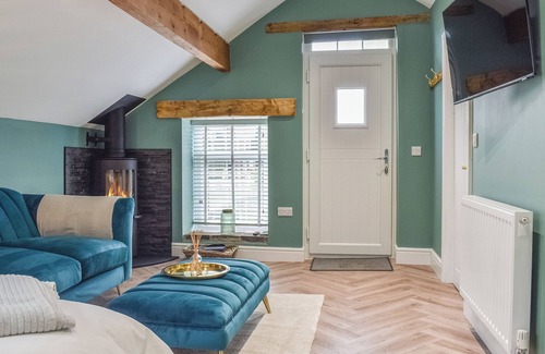 Dronfield Cabaña | Barn Owls Nest-UK39432