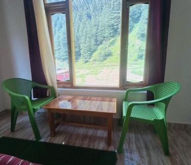 Barot Hotel | Barot Palace