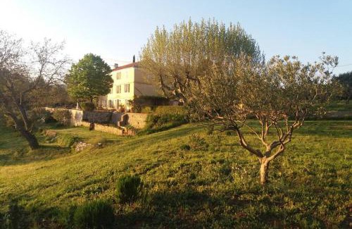 Aups Casa | Bastide au milieu des vignes et des oliviers Aups