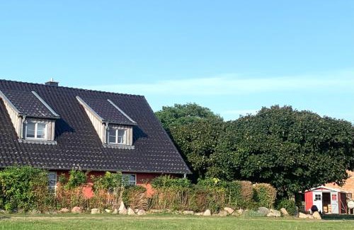 Reinberg Casa | Bauernkaten mit Terrasse und Kamin bei Stahlbrode