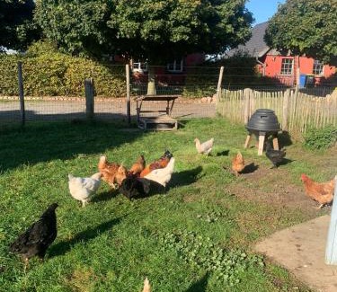Reinberg Casa | Bauernkaten mit Terrasse und Kamin bei Stahlbrode