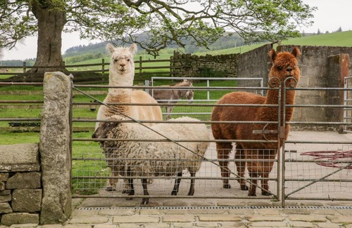 Skipton Casa | Bay Horse Farm