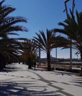 Pivarada Apartamento | Beach Apartment