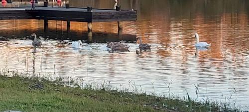 Osmo Villa | Beach Solsa