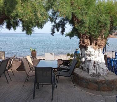 Sitia Apartamento | Beachfront Apartment Kato Zakros