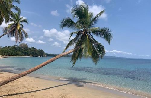Punta Uva Apartamento | Beachfront Apartment Punta uva